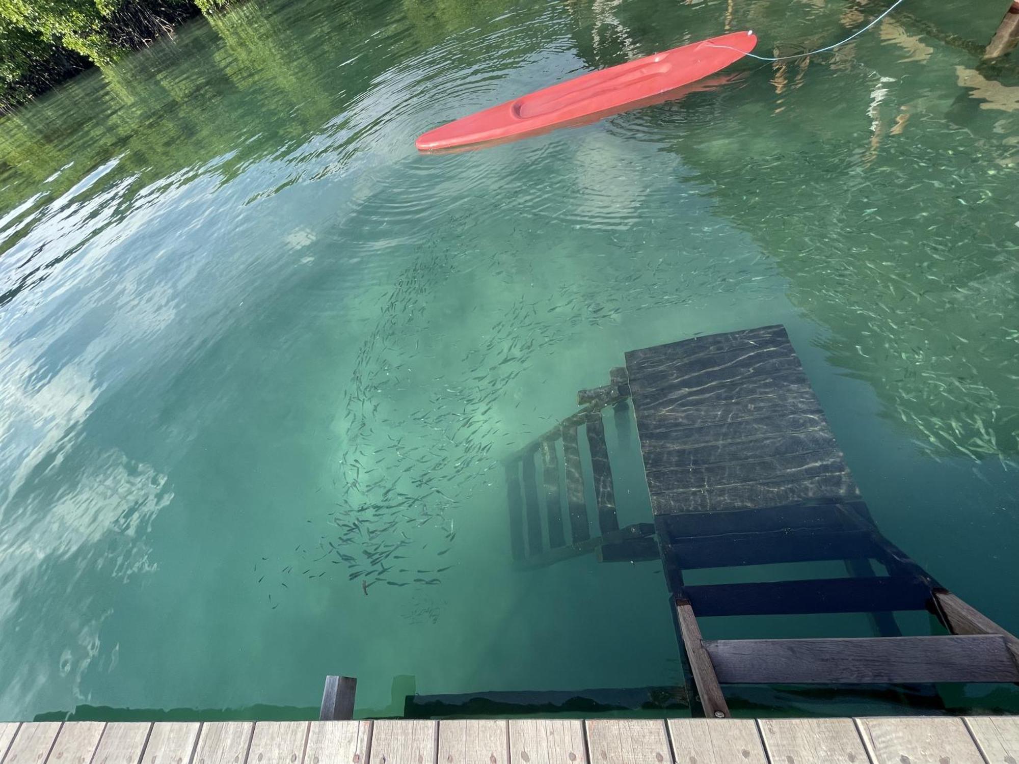 Floating Paradise Karimunjawa Eksteriør billede