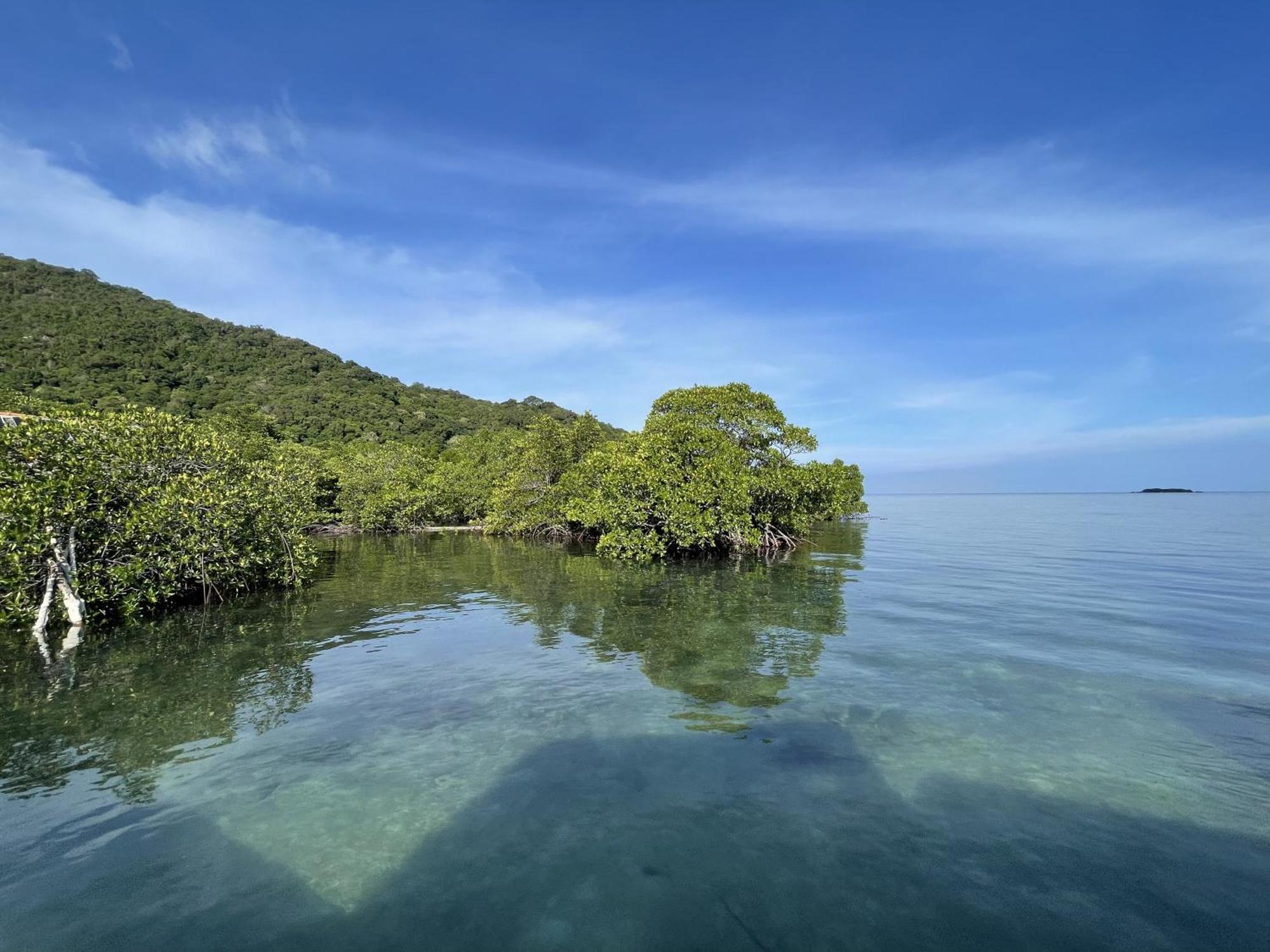 Floating Paradise Karimunjawa Eksteriør billede